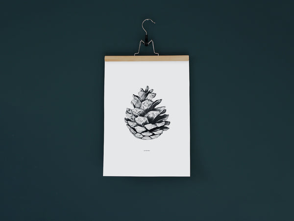 Au Naturel - Black and white Art print of a fir cone by Hanna Candell 