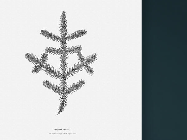 Taggarå - Black and white art print of a spruce twig by Hanna Candell